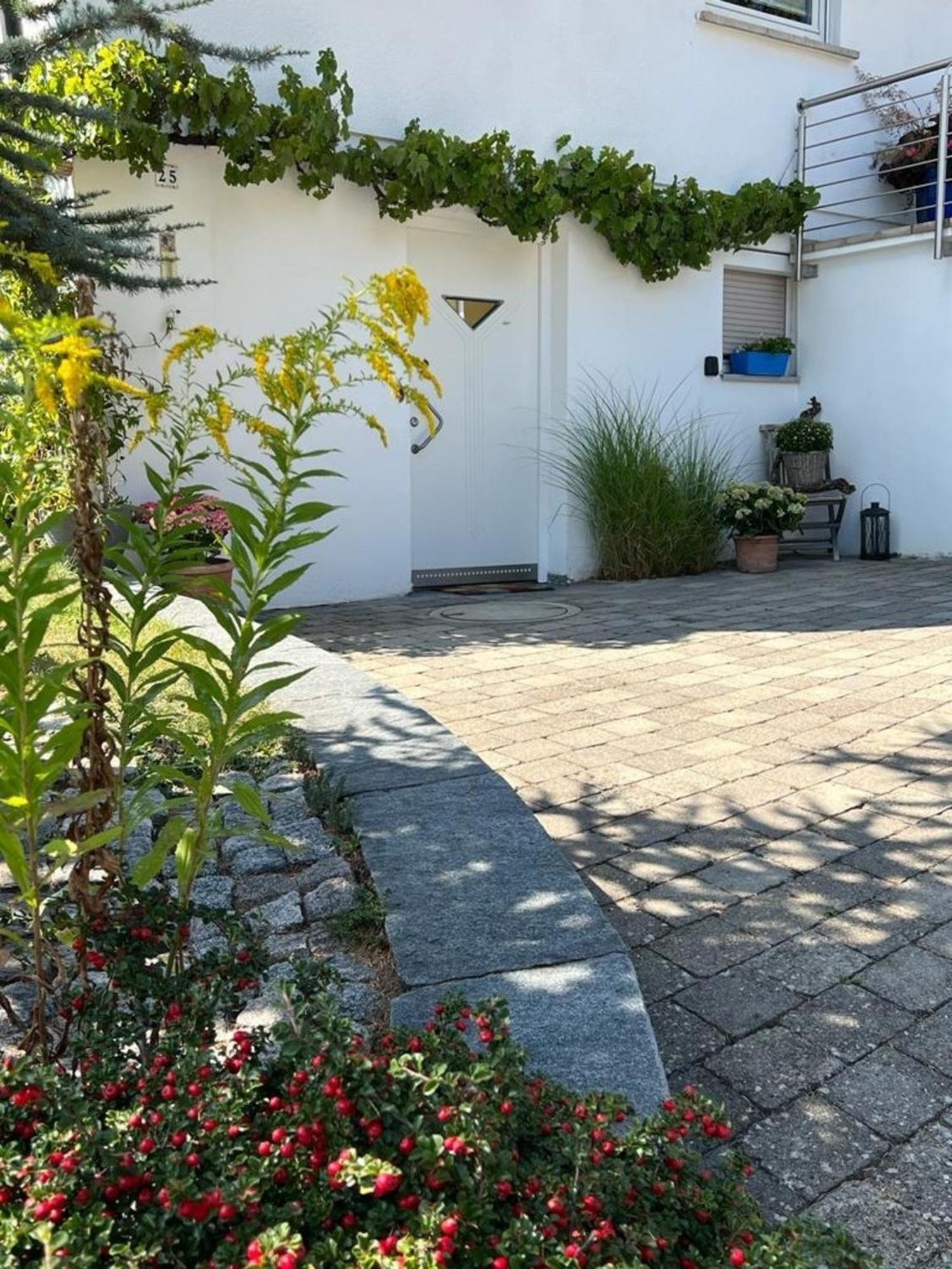 Ferienwohnung Jardin De Lavande Фридинген-на-Дунае Экстерьер фото