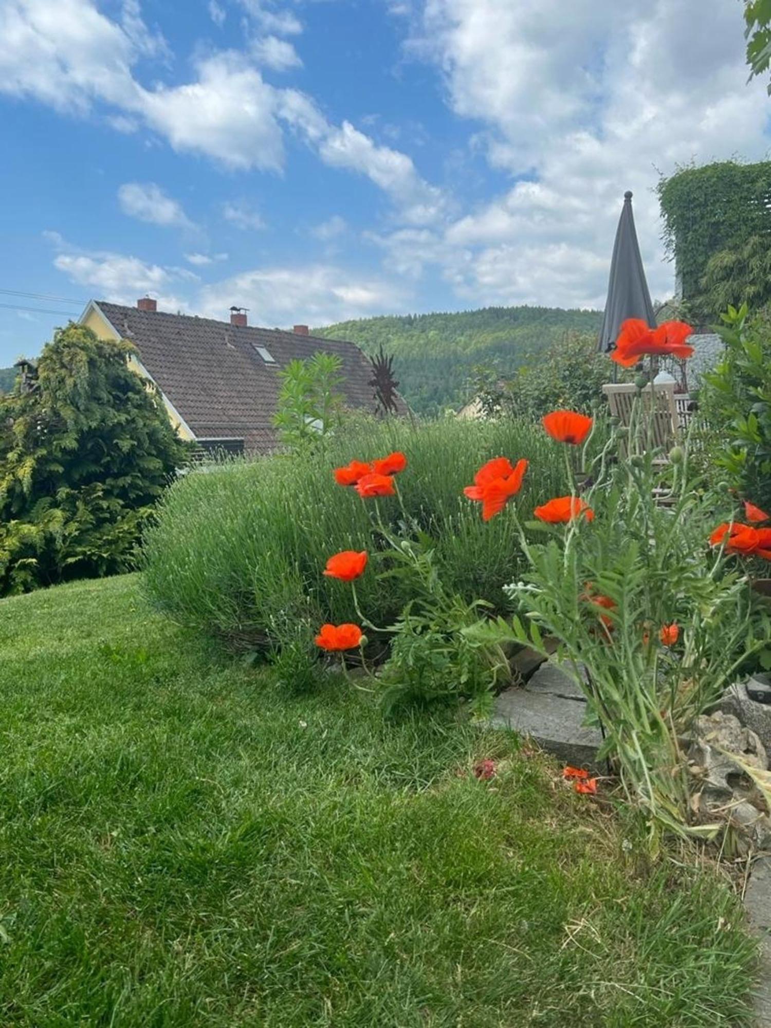 Ferienwohnung Jardin De Lavande Фридинген-на-Дунае Экстерьер фото