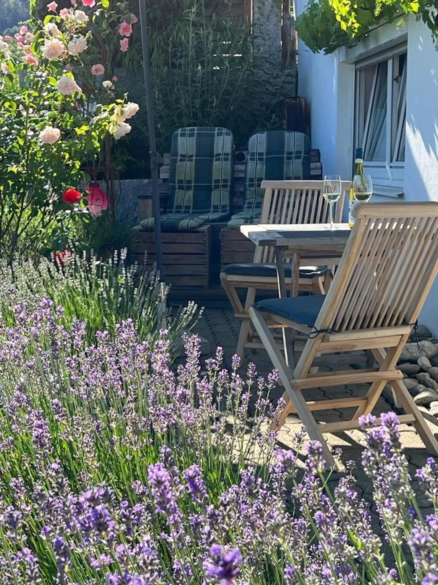 Ferienwohnung Jardin De Lavande Фридинген-на-Дунае Экстерьер фото
